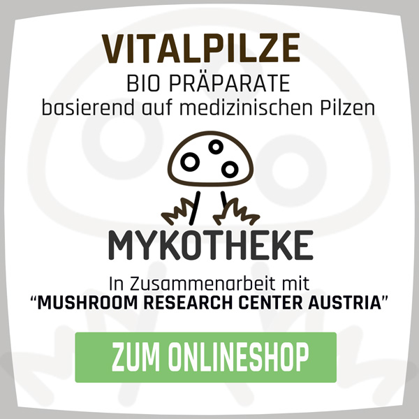 Vitalpilze - Onlineshop i Wien